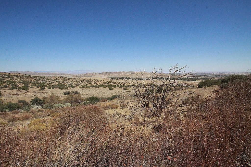 Picture 6