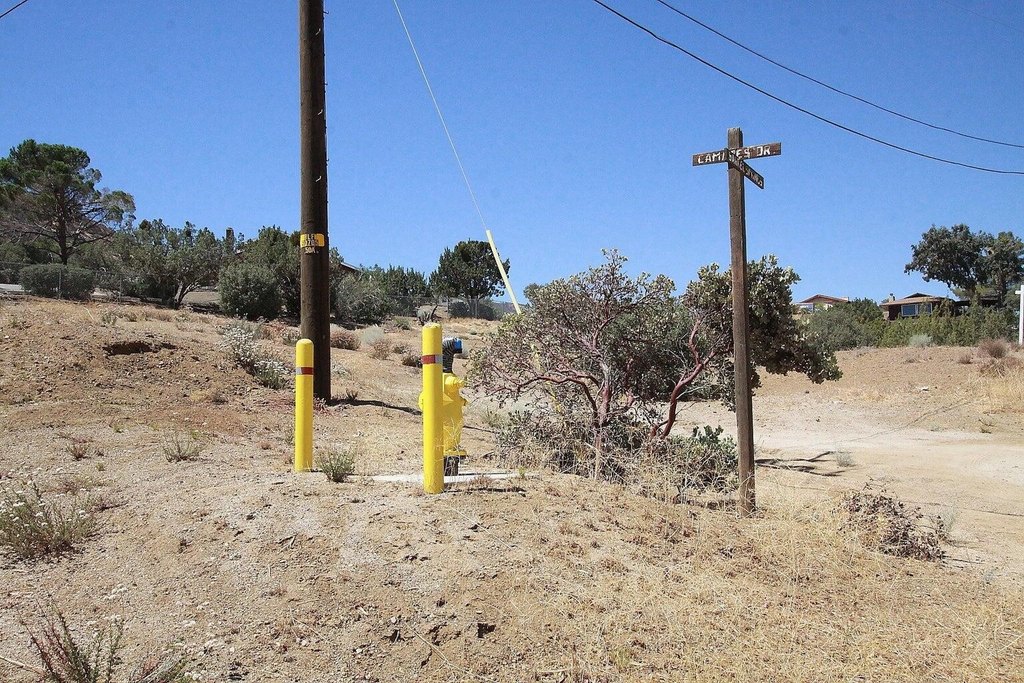 Picture 10