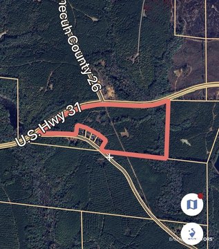Hunting Land with Pine Timber