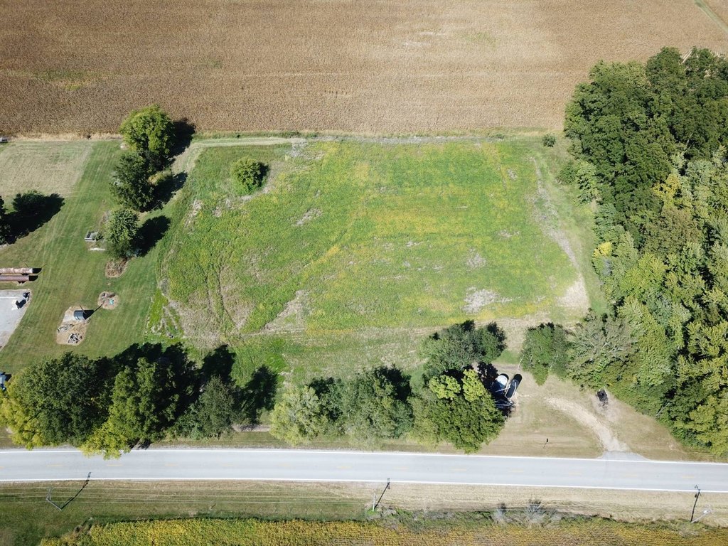 Picture 16