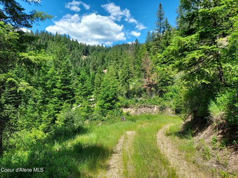 LAND - Coeur d'Alene, ID