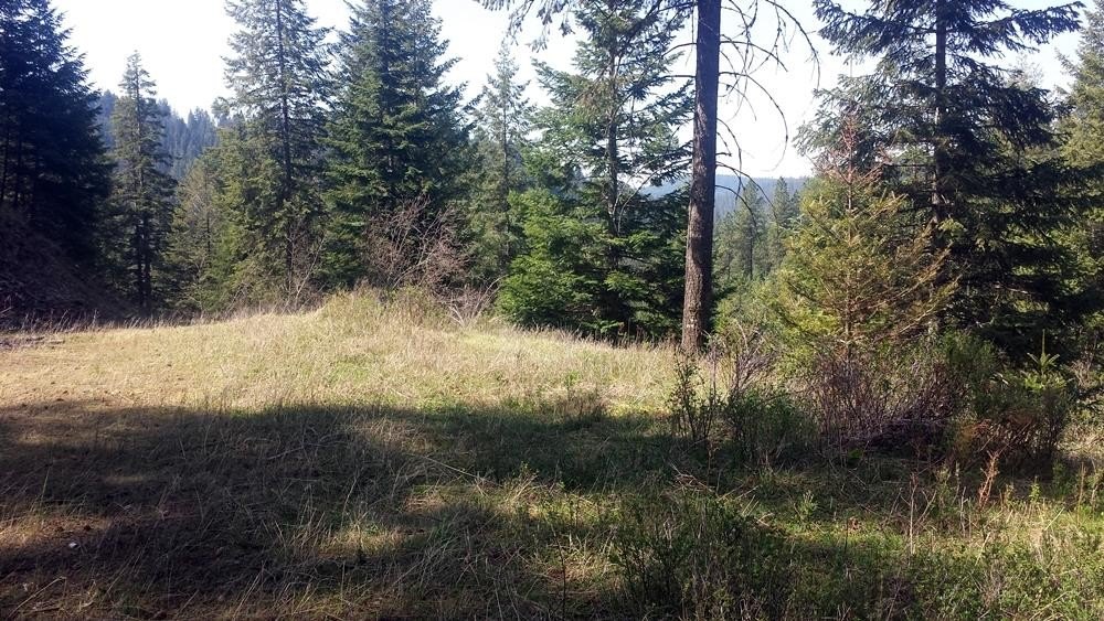 Picture 16