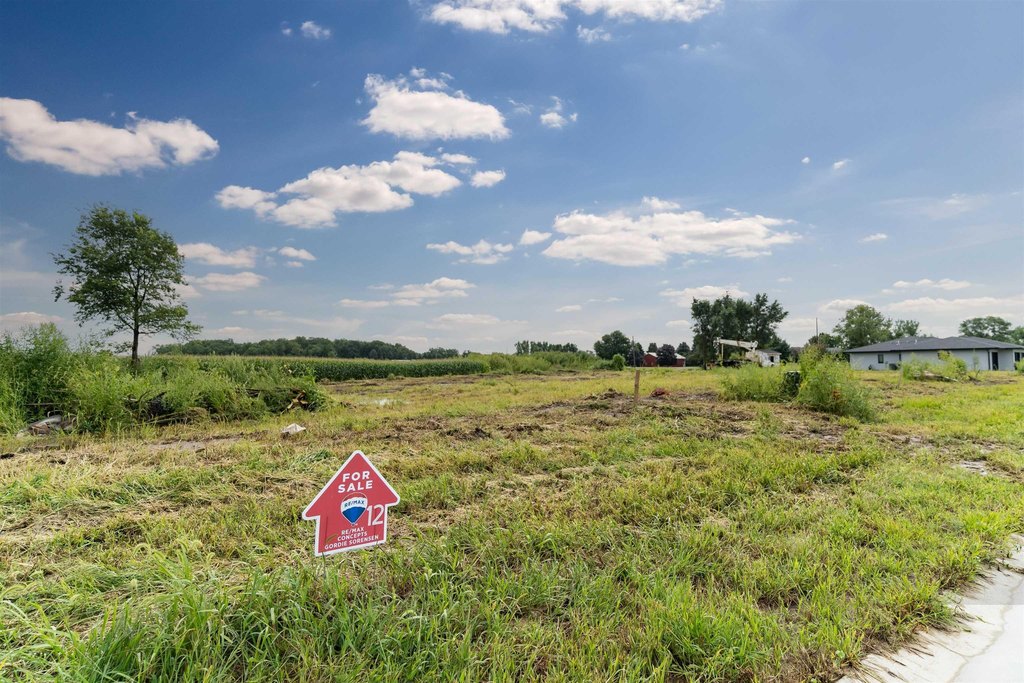 Picture 5