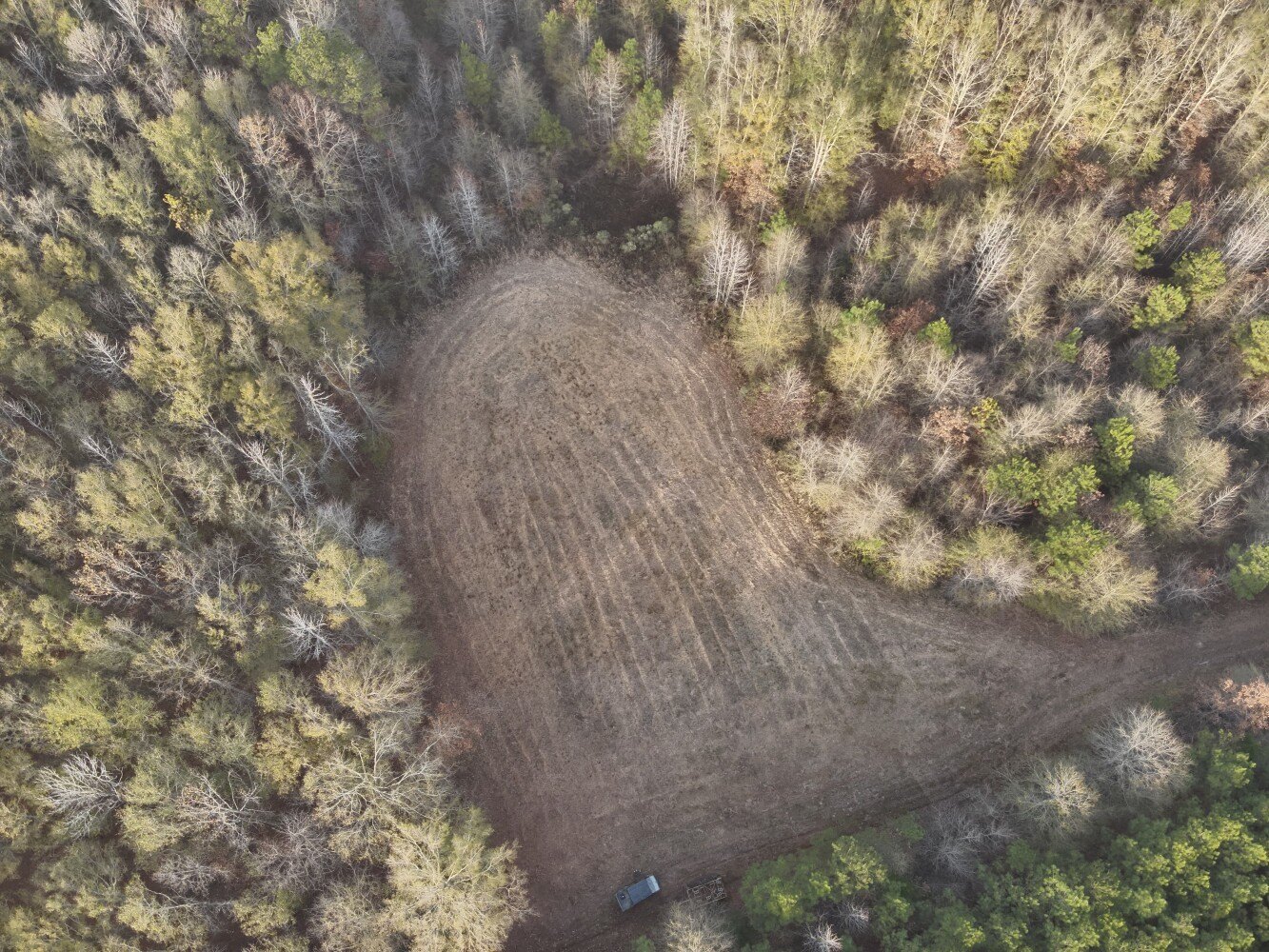 West Point Hunting and Timber
