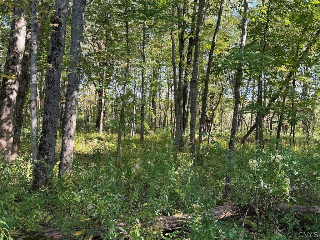 Picture 48