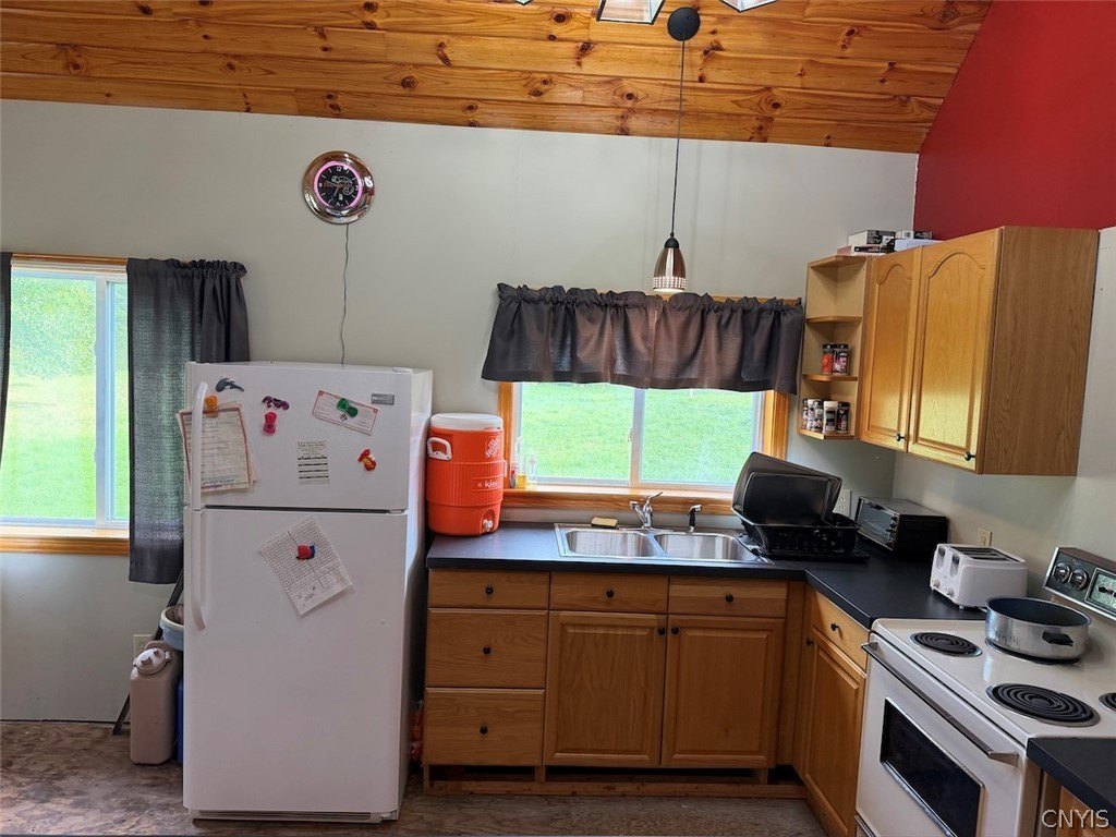Picture 16