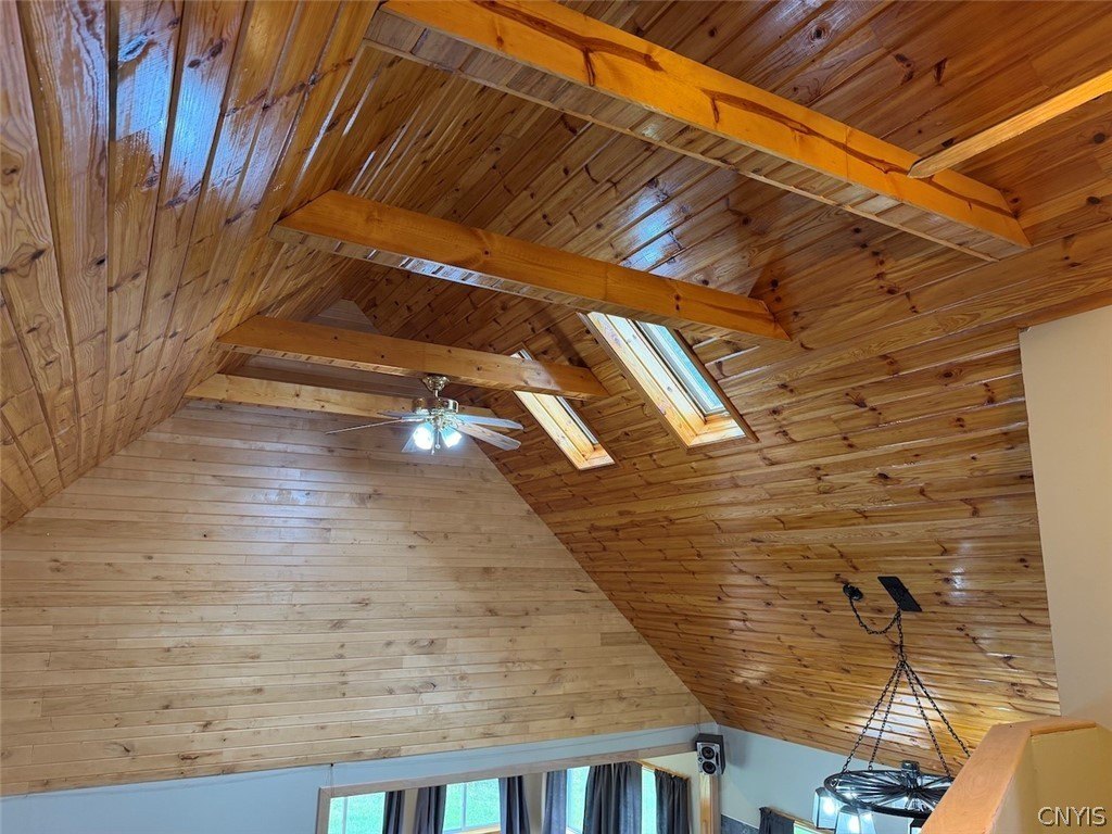 Picture 31