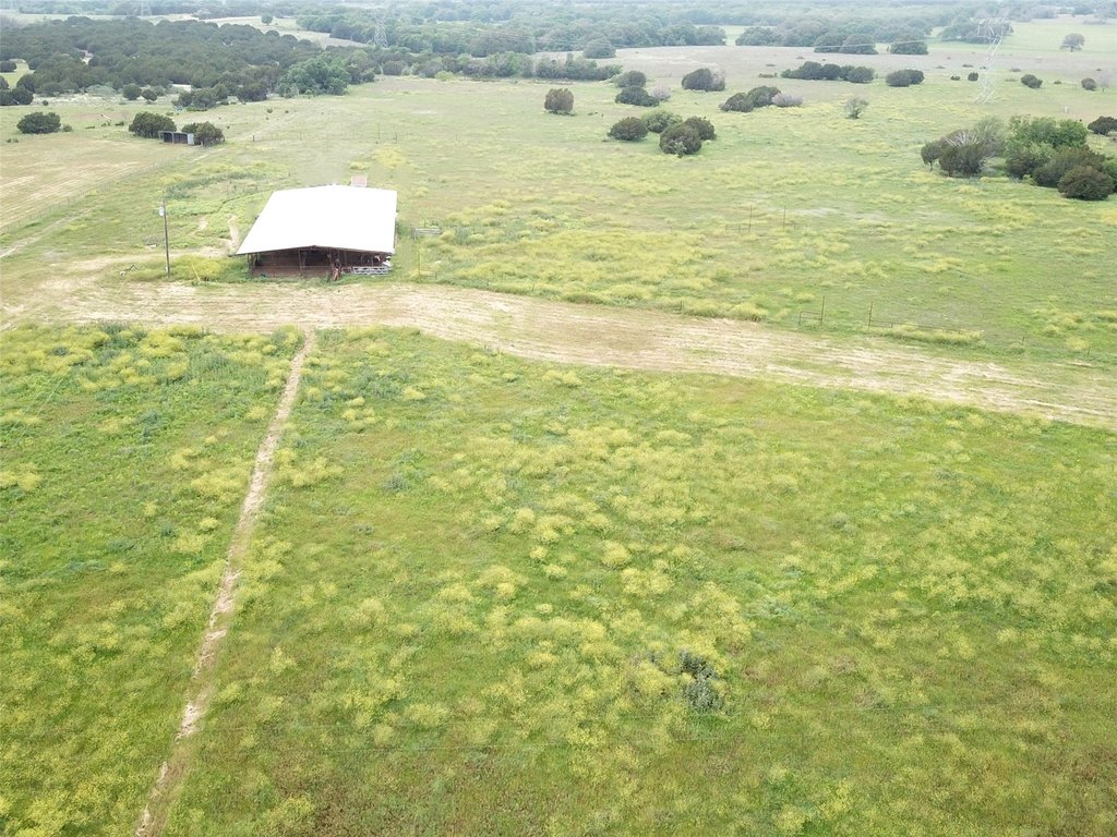 Picture 15