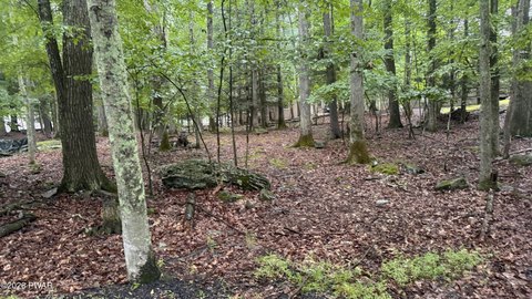 Land, Lakeville, PA