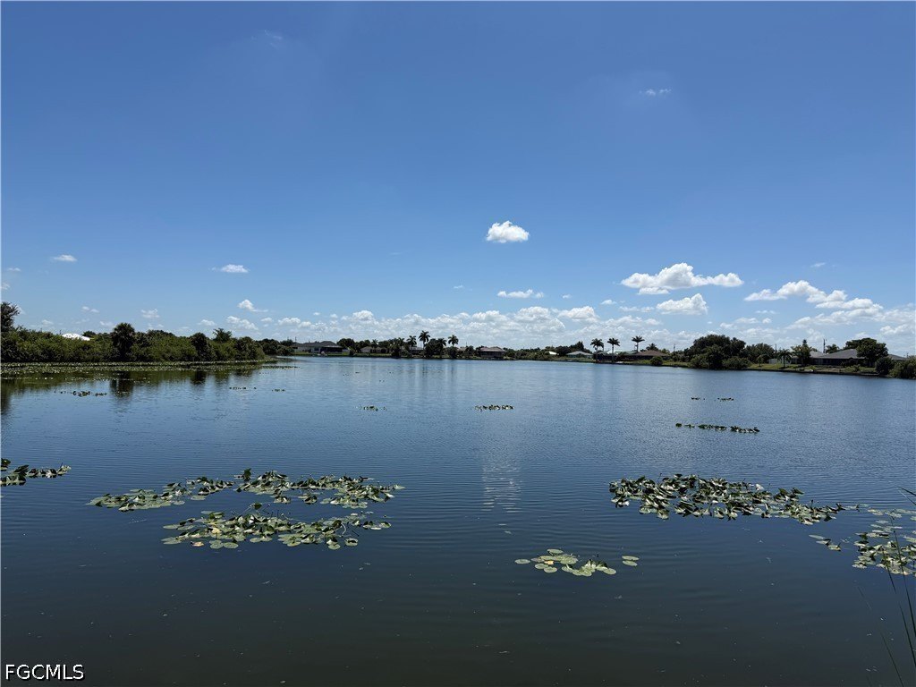 Picture 24