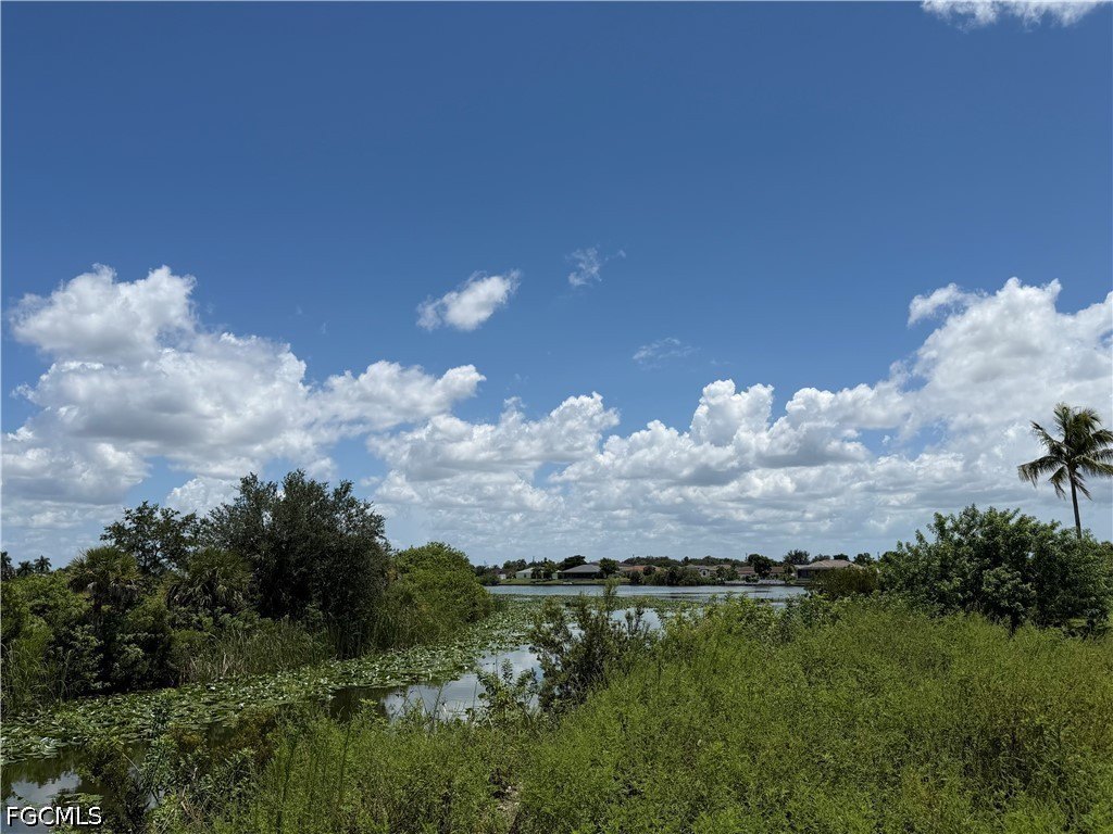 Picture 8
