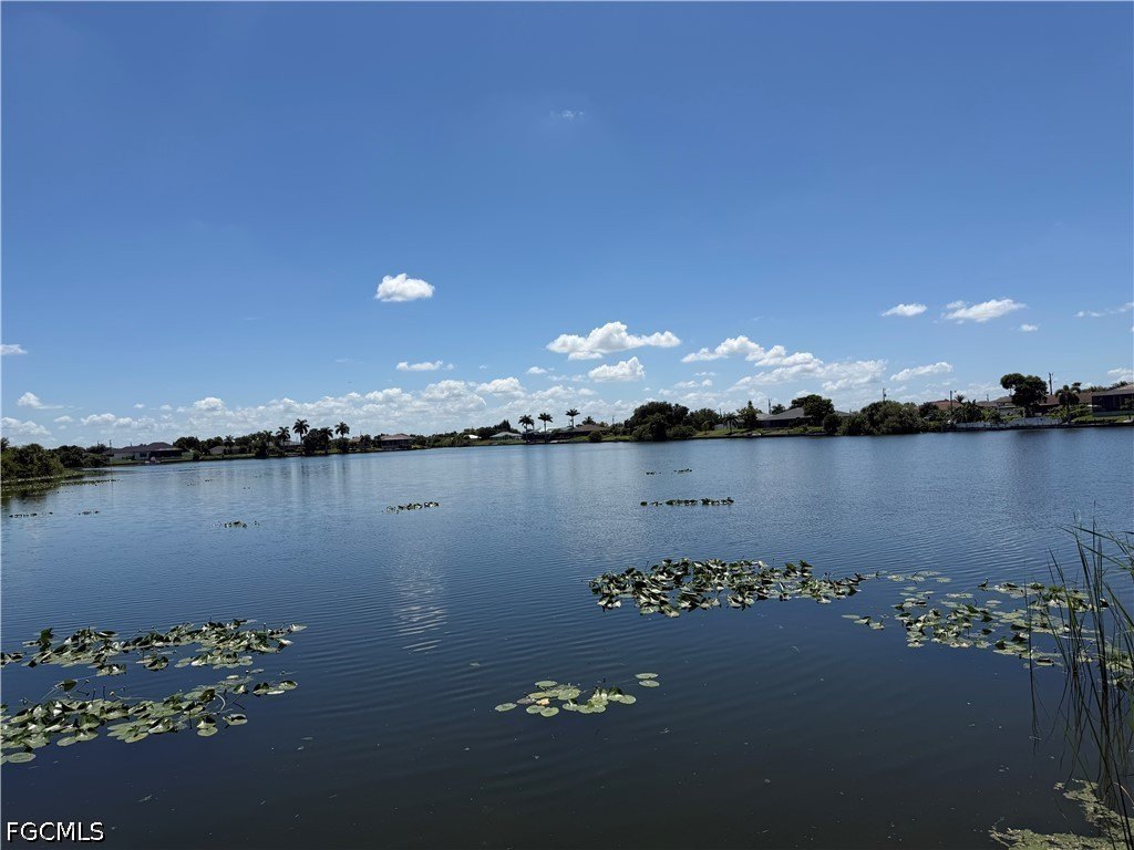 Picture 27