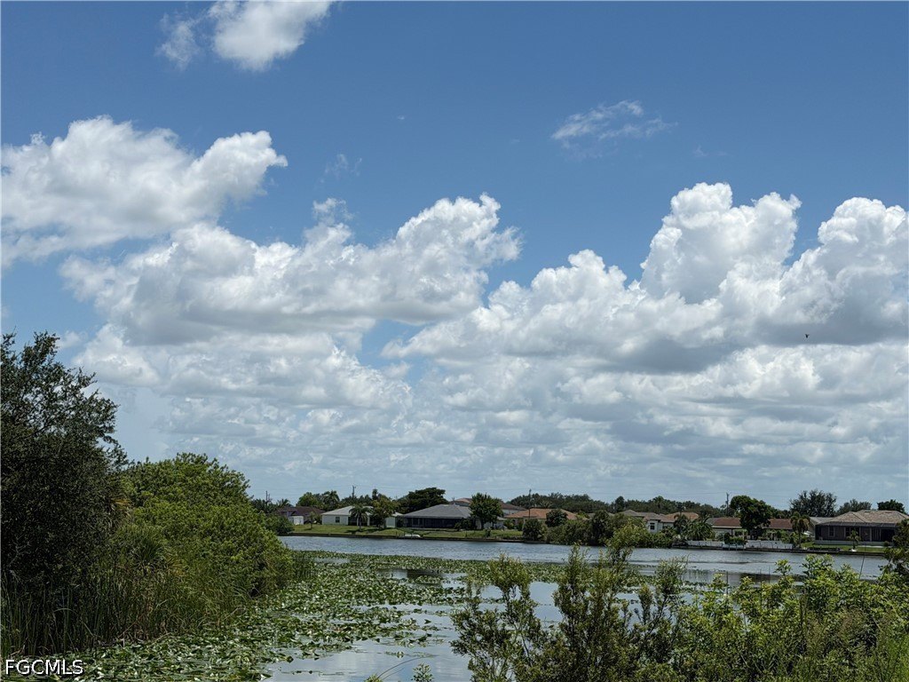 Picture 11
