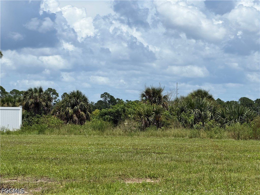 Picture 21