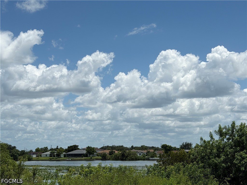 Picture 19