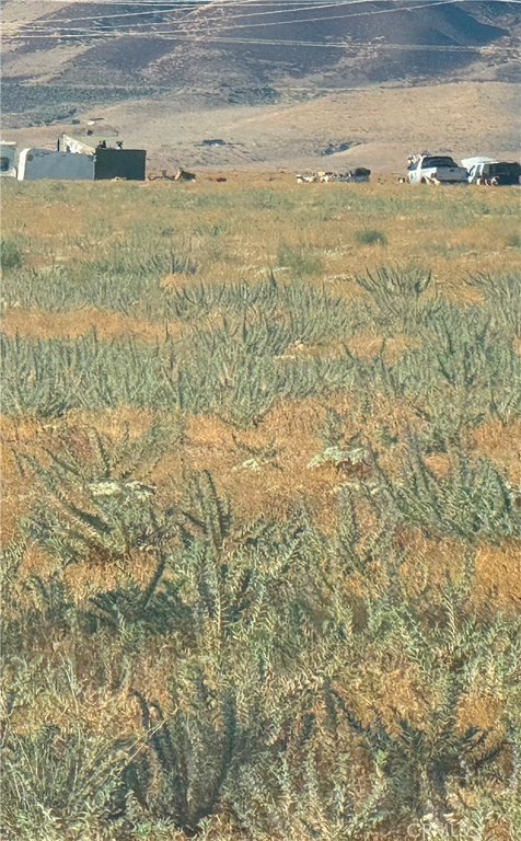 Picture 4
