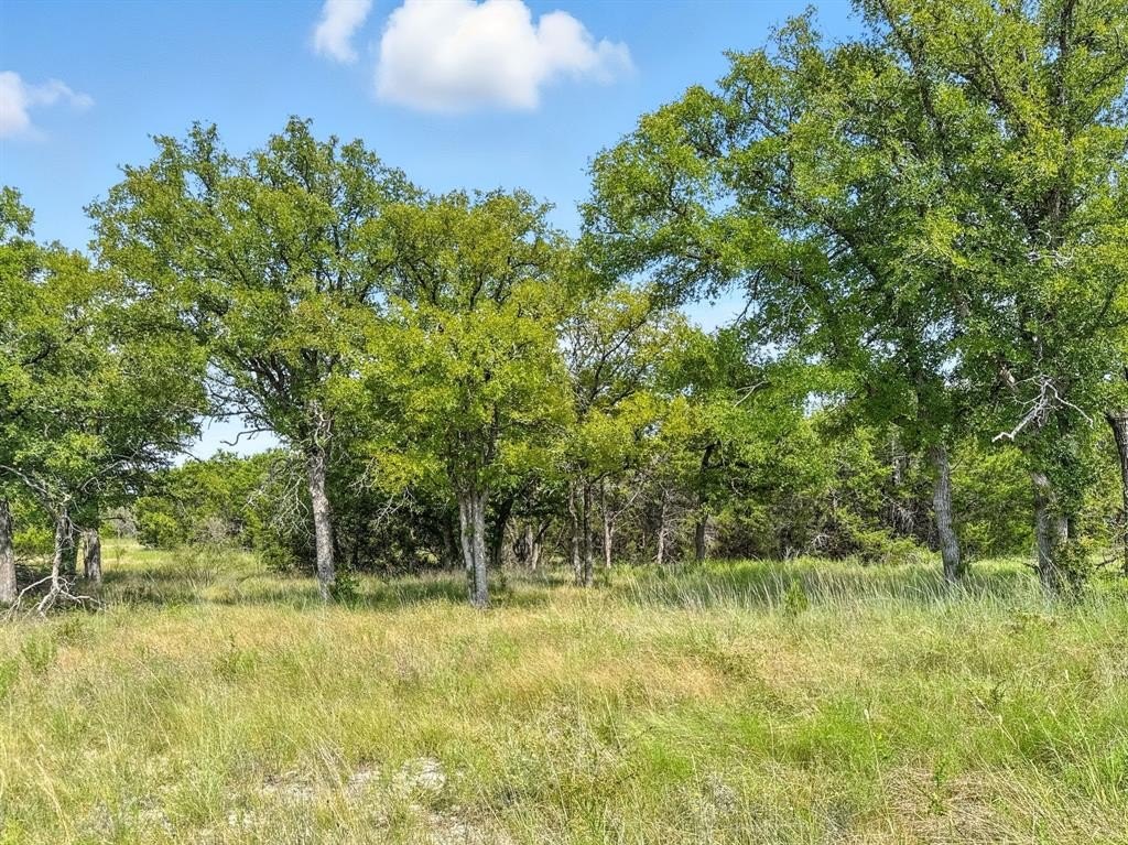 Secluded Land Parcel in Evant
