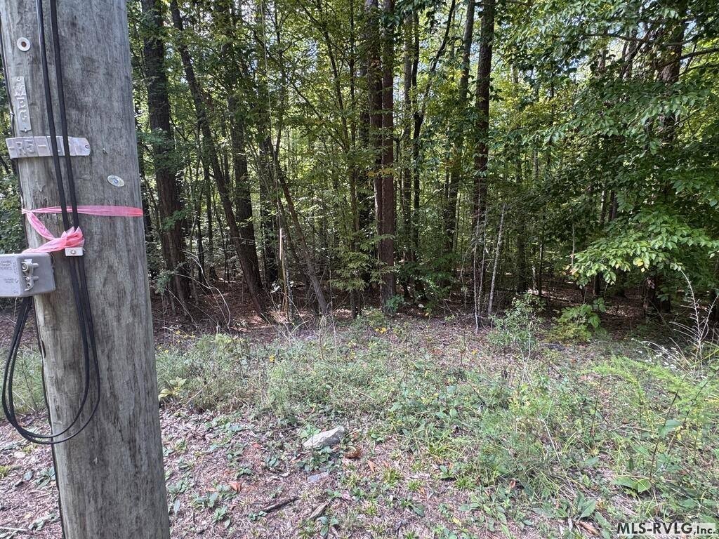 Picture 33