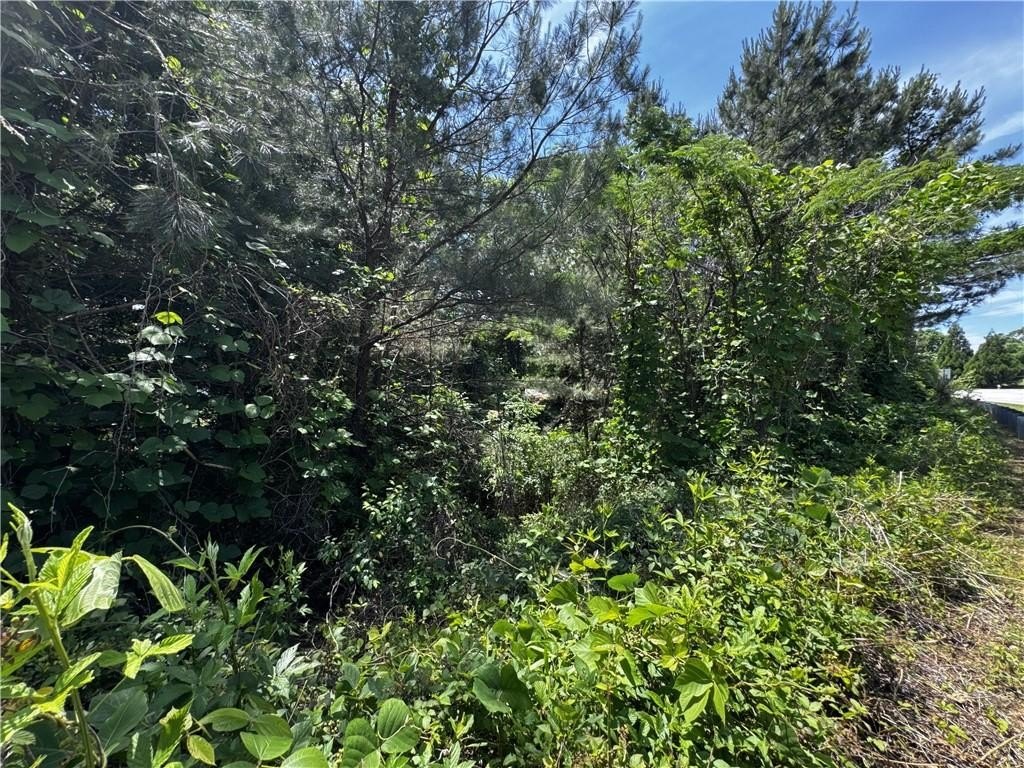 Residential Lot Near Hog Mountain
