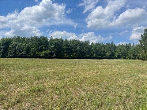 LAND - Sharpsburg, GA