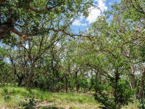Unrestricted Hill Country Land Parcel
