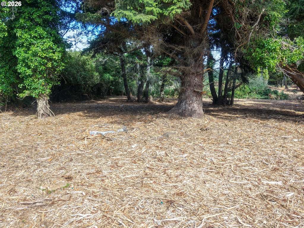 Picture 20