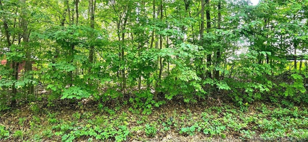 Picture 2
