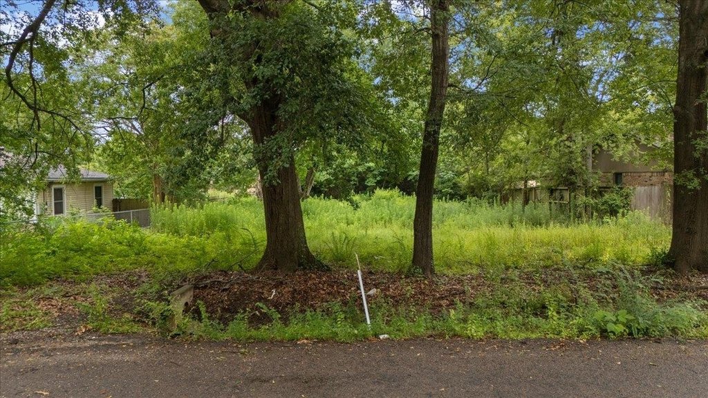 Picture 9