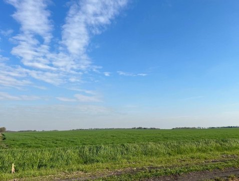 Development-Ready Acreage Tract