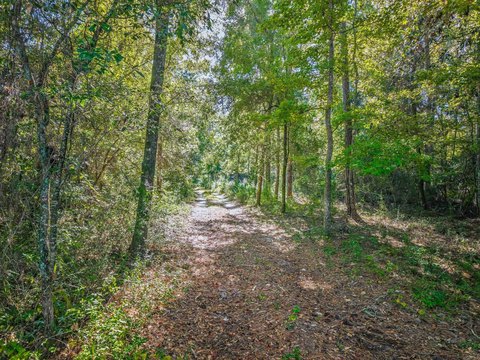 Land, Crawfordville, FL