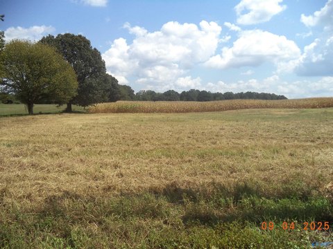 Hazel Green Land For Sale