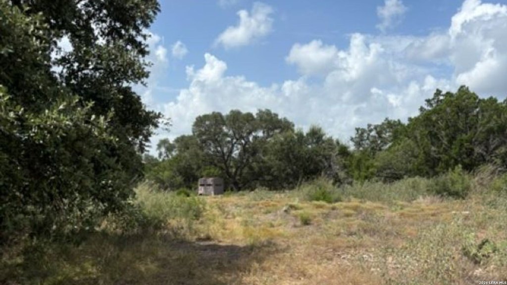 Picture 17