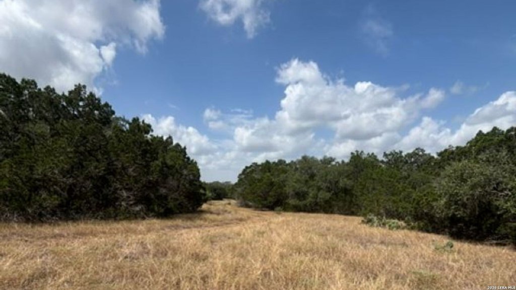 Picture 14