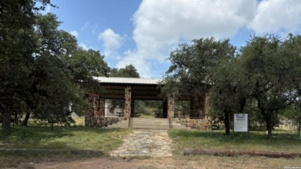 Picture 12