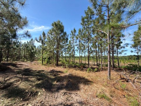 LAND - Wagener, SC