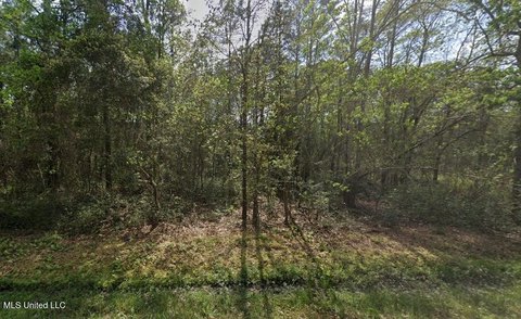 Bay Saint Louis Wooded Lot