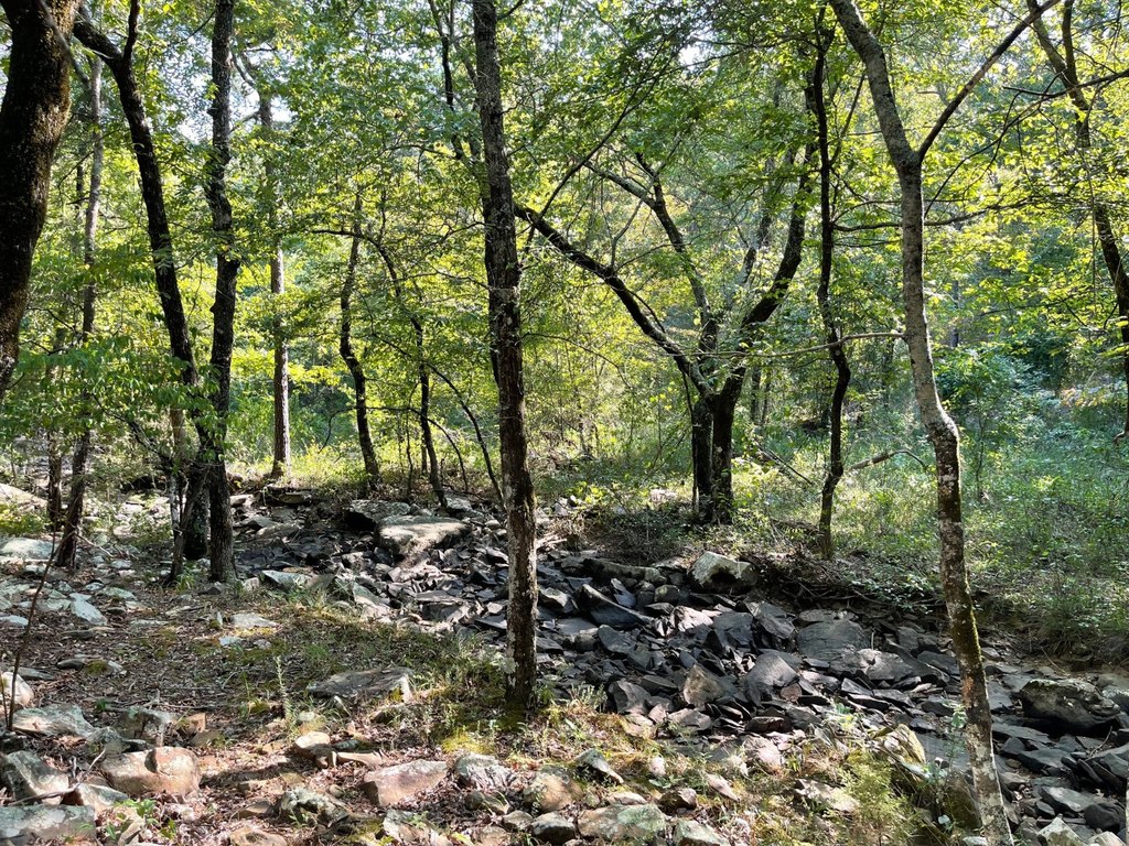 Picture 28