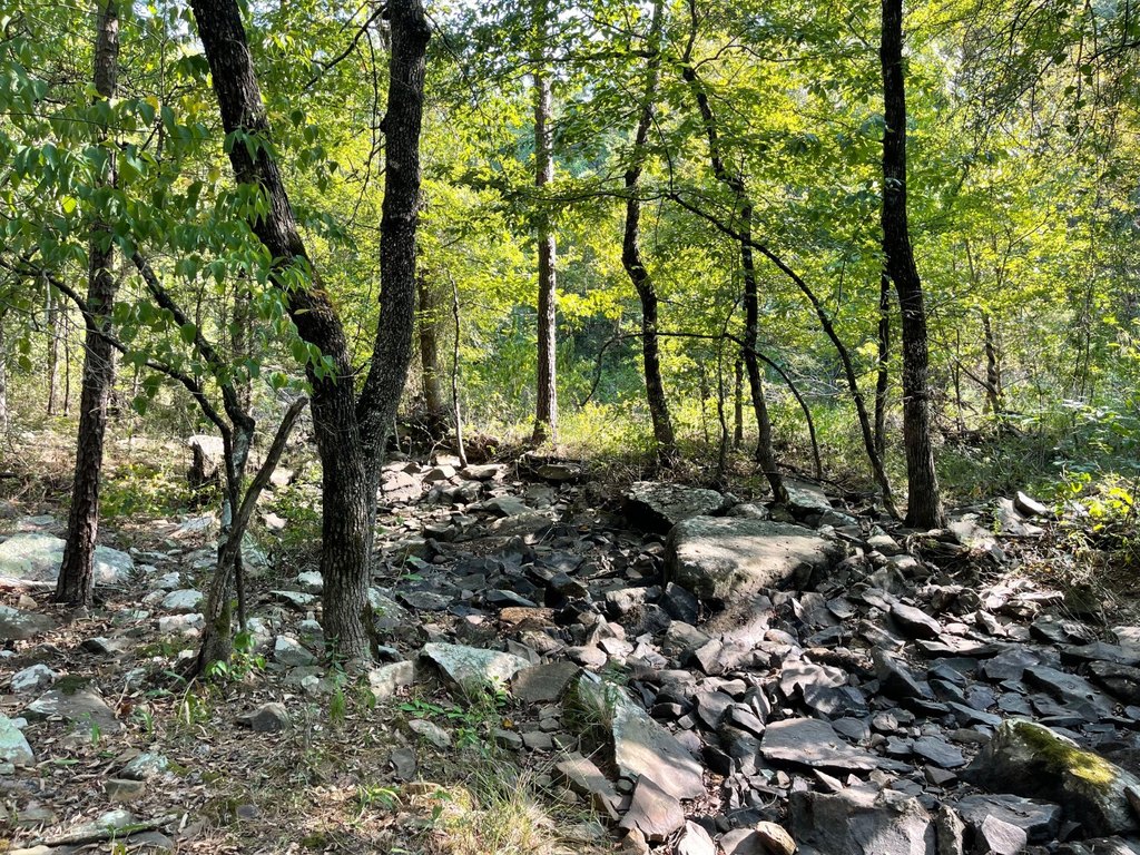 Picture 37