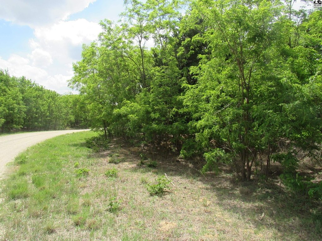 Picture 5