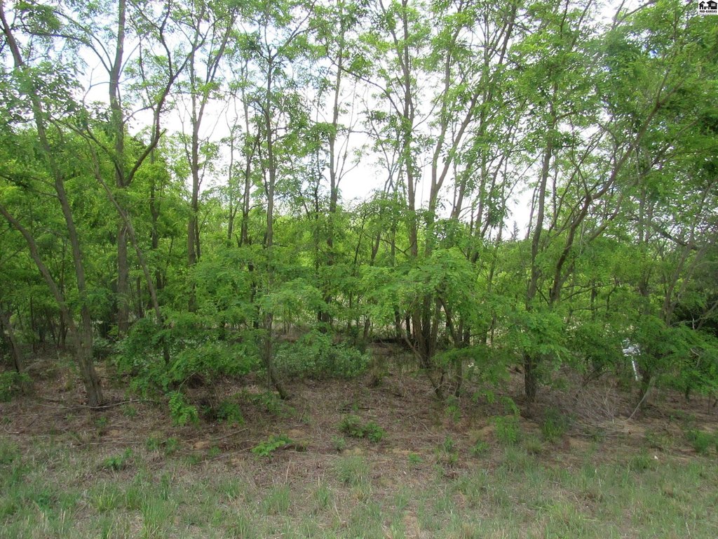 Picture 8