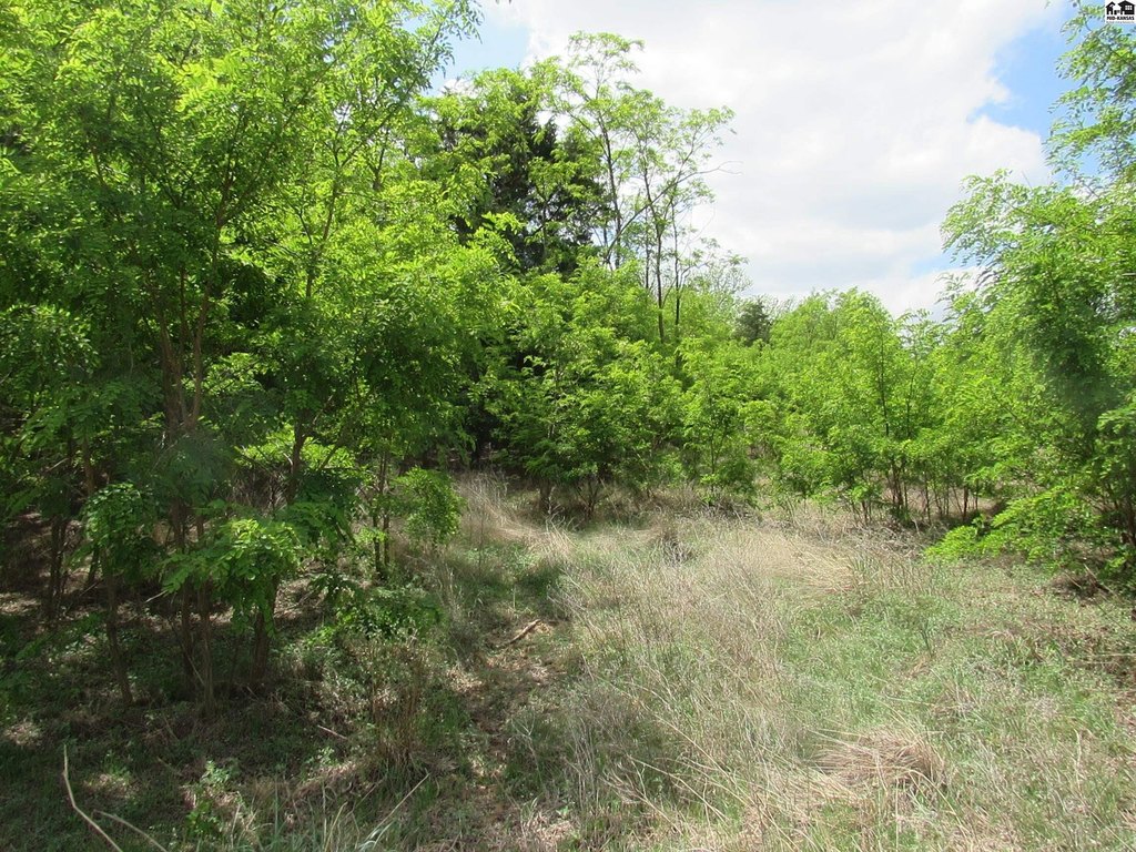 Picture 9