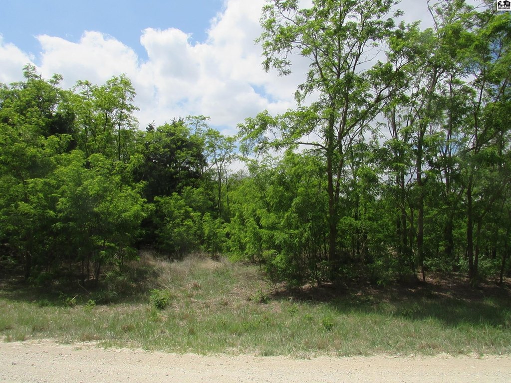 Picture 6