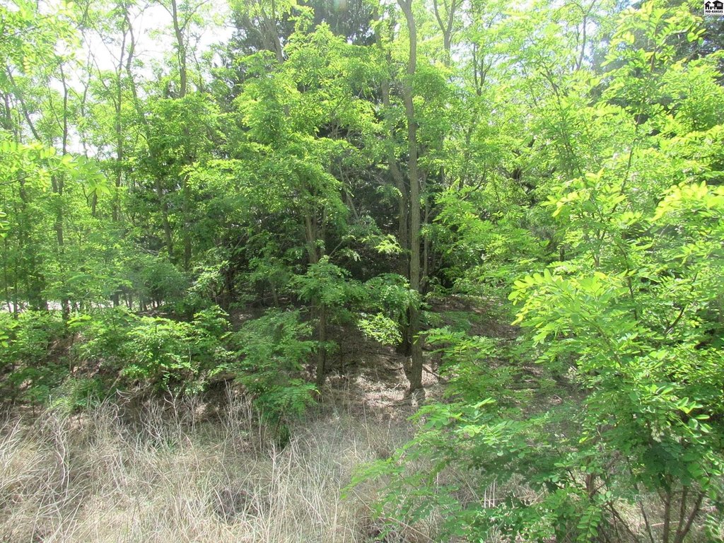 Picture 10