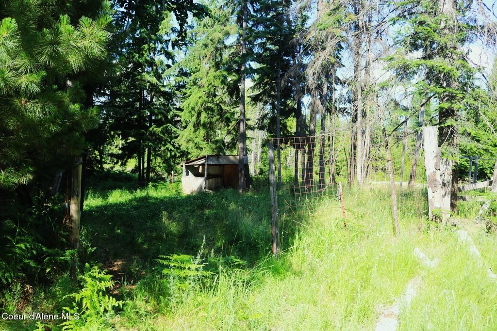 Picture 7