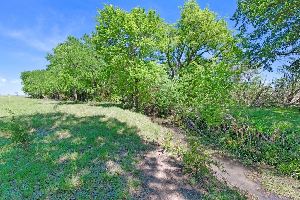 Picture 25