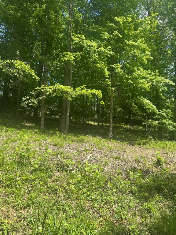 Picture 4