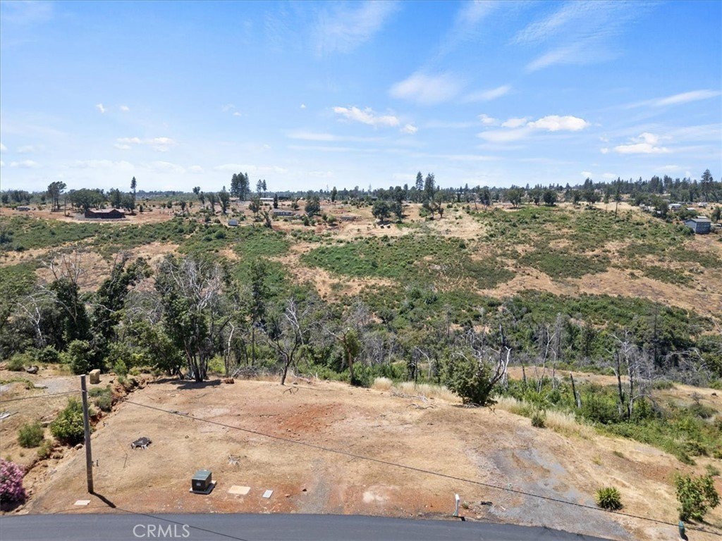 Picture 17