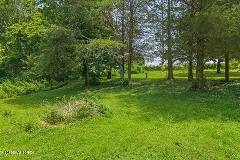 Lots & Acreage, Englewood, TN