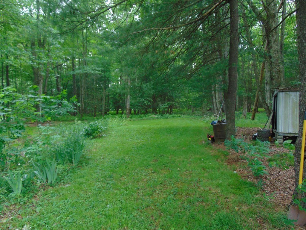 Picture 3