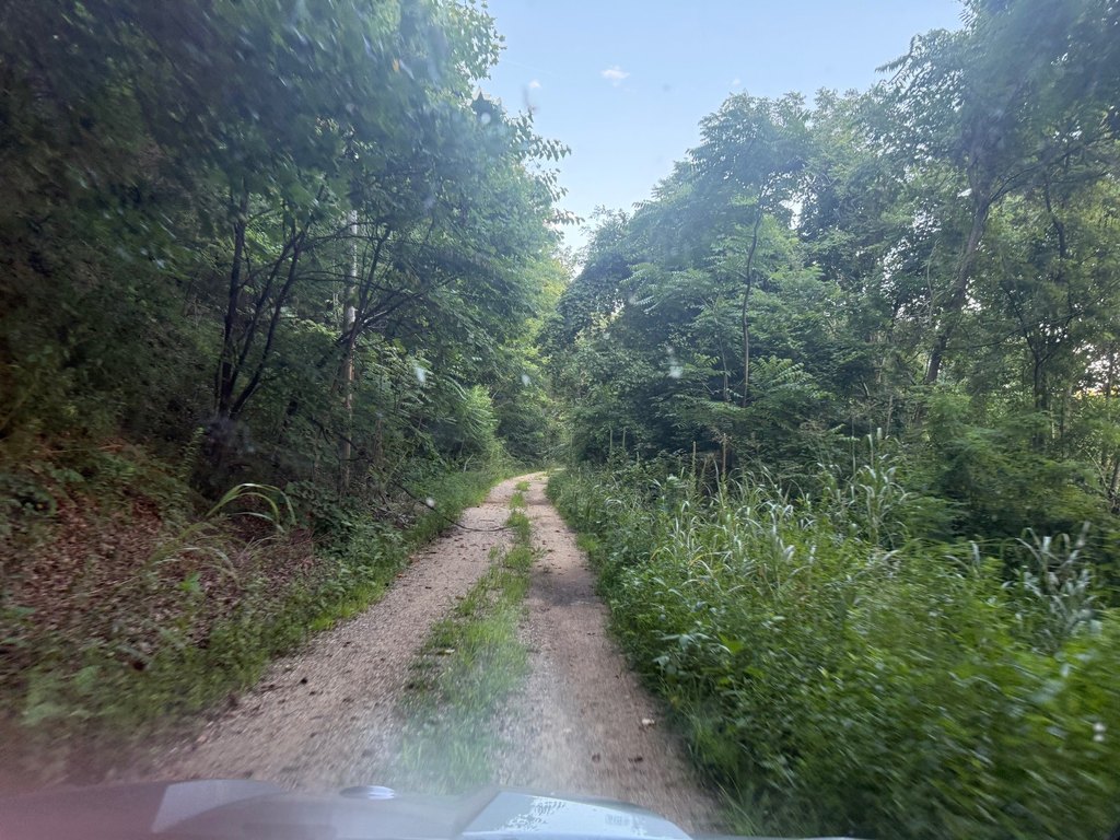 Picture 17